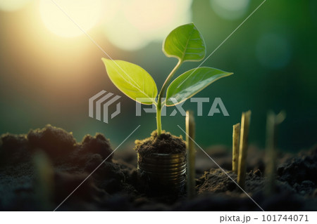 Fresh young plants sprout from the earth, showcasing the beauty of nature's renewal and the beginning of new growth. Organic farming and sustainability and eco-friendly living. Generative AI. 101744071