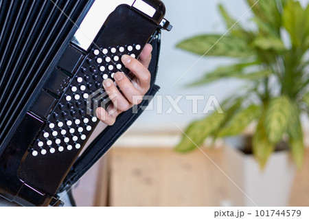 クロマチックボタン式アコーディオンを弾いている男性の手元 101744579