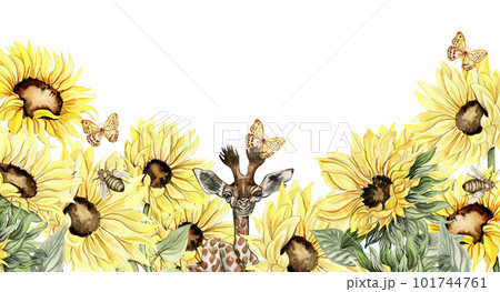 Watercolor horizontal seamless background with sunflowers. Butterflies in cartoon style. Hand drawn illustration of summer. Perfect for scrapbooking, kids design, wedding invitation. greetings cards. 101744761