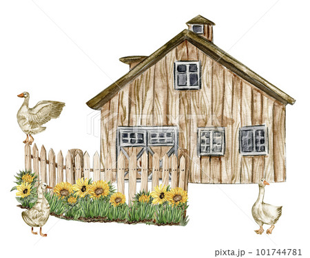 Watercolor farm composition with sunflowers. Butterflies in cartoon style. Hand drawn illustration of summer. Perfect for scrapbooking, kids design, wedding invitation,posters, greetings cards. 101744781