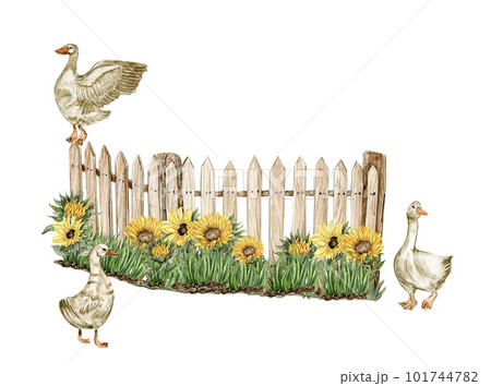 Watercolor farm composition with sunflowers. Butterflies in cartoon style. Hand drawn illustration of summer. Perfect for scrapbooking, kids design, wedding invitation,posters, greetings cards. 101744782