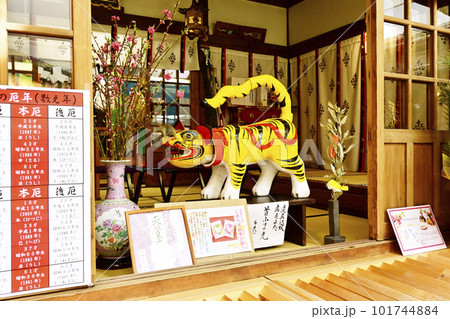 巨大な虎の張り子 少彦名神社 大阪観光スポット 神農さん 巨大な虎の張り子 少彦名神社 大阪観光スポット 神農さん 101744884
