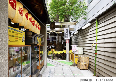 巨大な寅の張り子 少彦名神社 大阪神農さん 巨大な寅の張り子 少彦名神社 大阪神農さん 101744888