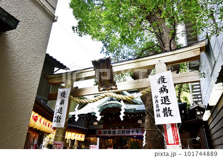 巨大な寅の張り子　少彦名神社　大阪神農さん 101744889