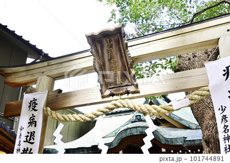 巨大な寅の張り子　少彦名神社　大阪神農さん 101744891