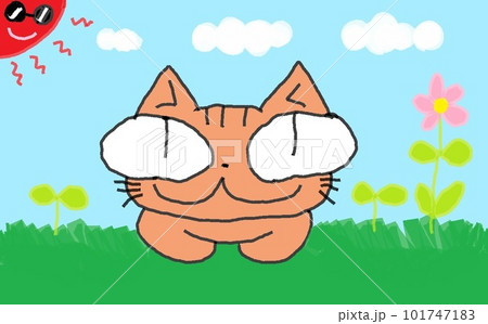 目が大きい猫のこうばこ 目が大きい猫のこうばこ 101747183