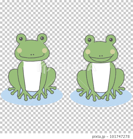  Cute Frogs