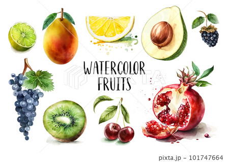Watercolor painted collection of fruits. Hand drawn fresh food design elements isolated on white background. Watercolor painted collection of fruits. Hand drawn fresh food design elements isolated on white background. 101747664