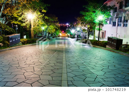 函館市 八幡坂の夜景 101748219