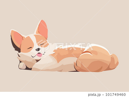Cute welsh corgi having a nap, snugly curled upisolated on a black background 101749460