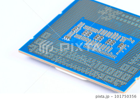 CPU : Central Processing Unit, Computer processor all bottom side, socket contact isolated on white background. 101750356