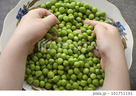 children's hands are picking peeled green peas from a plate children's hands are picking peeled green peas from a plate 101751191