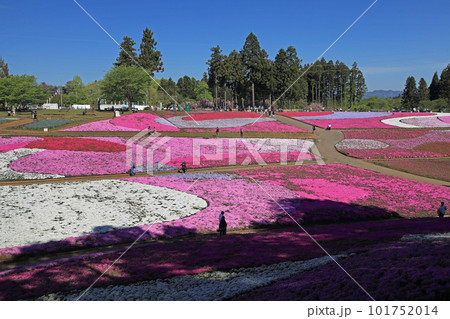 芝桜の公園 芝桜の公園 101752014