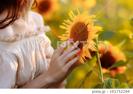 Woman touching sunflower flower 101752294