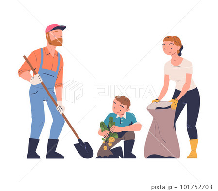 Family Harvesting Picking and Gathering Ripe Potato Vector Illustration Family Harvesting Picking and Gathering Ripe Potato Vector Illustration 101752703