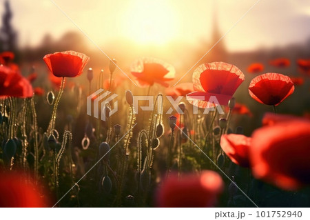 Poppy flower meadow. Illustration AI Generative 101752940