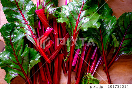 Fresh raw beet greens ready for cooking. Healthy eating. Fresh raw beet greens ready for cooking. Healthy eating. 101753014