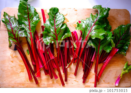Fresh raw beet greens ready for cooking. Healthy eating. Fresh raw beet greens ready for cooking. Healthy eating. 101753015