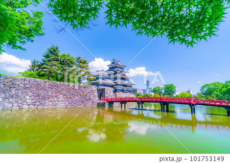 【初夏素材】新緑と青空の松本城【長野県】 101753149