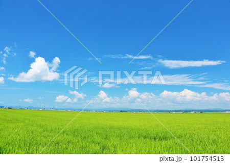 北海道 夏の青空と田園風景 北海道 夏の青空と田園風景 101754513