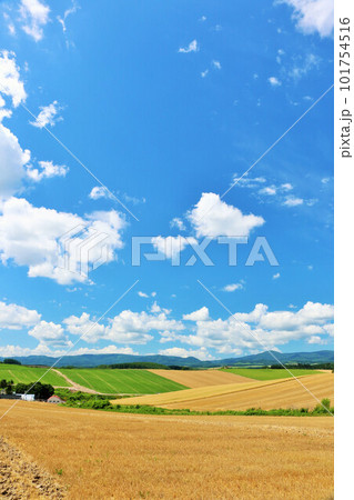 北海道 夏の青空と美瑛の風景 北海道 夏の青空と美瑛の風景 101754516