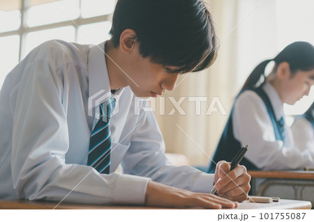 Middle school 101755087