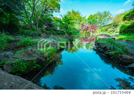 公園の池と木々 公園の池と木々 101755469