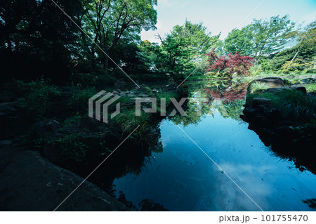公園の池と木々 公園の池と木々 101755470