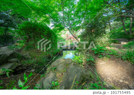 東京の公園の風景 101755495