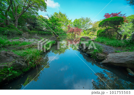 東京の公園の風景 東京の公園の風景 101755503