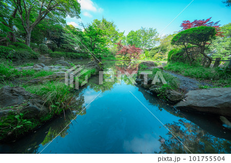 東京の公園の風景 東京の公園の風景 101755504