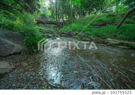 東京の公園の川の流れ 東京の公園の川の流れ 101755523