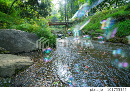 東京の公園の川の流れ 東京の公園の川の流れ 101755525