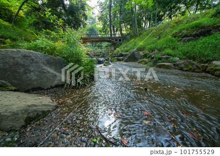東京の公園の川の流れ 東京の公園の川の流れ 101755529