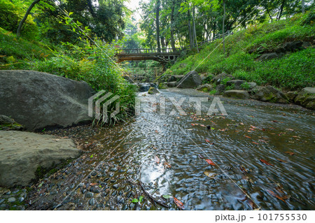 東京の公園の川の流れ 東京の公園の川の流れ 101755530