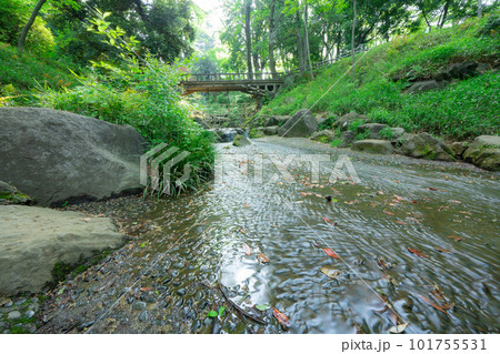 東京の公園の川の流れ 東京の公園の川の流れ 101755531