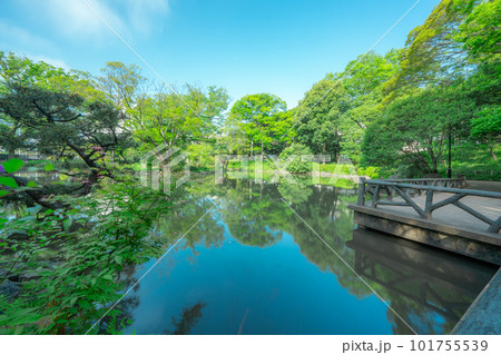 東京の公園の風景 東京の公園の風景 101755539