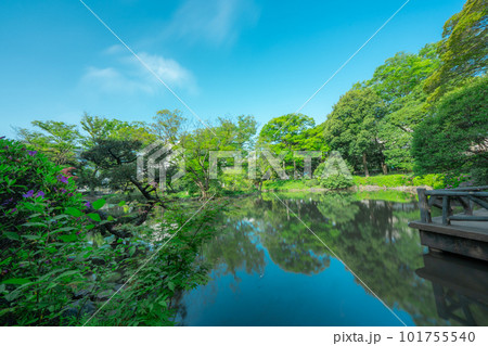 東京の公園の風景 東京の公園の風景 101755540