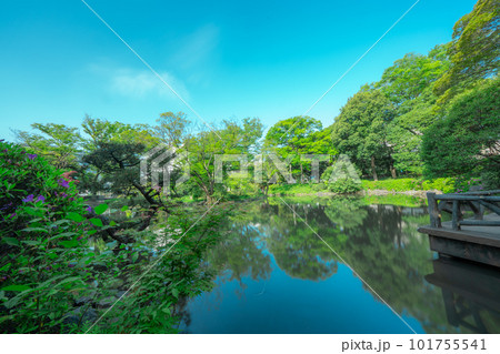 東京の公園の風景 東京の公園の風景 101755541