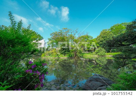 東京の公園の風景 東京の公園の風景 101755542