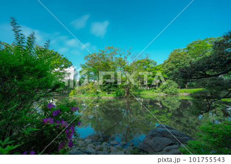 東京の公園の風景 東京の公園の風景 101755543