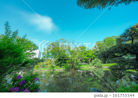 東京の公園の風景 東京の公園の風景 101755544