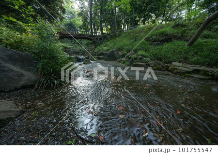 東京の公園の風景 東京の公園の風景 101755547