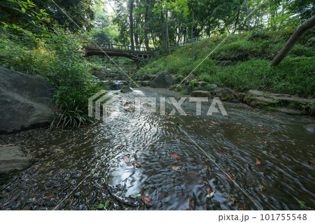 東京の公園の風景 東京の公園の風景 101755548