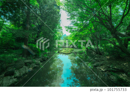 東京の公園の池と空 101755733