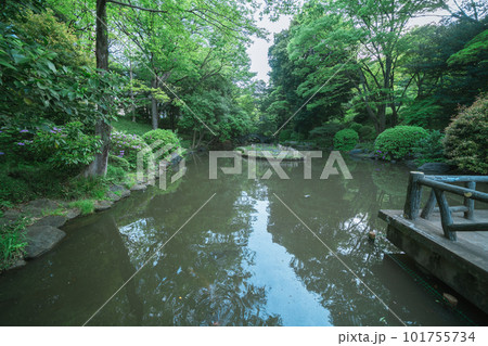 東京の公園の池と空 東京の公園の池と空 101755734