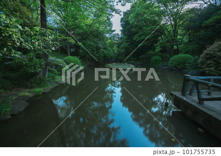 東京の公園の池と空 東京の公園の池と空 101755735