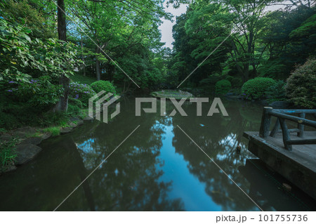 東京の公園の池と空 東京の公園の池と空 101755736