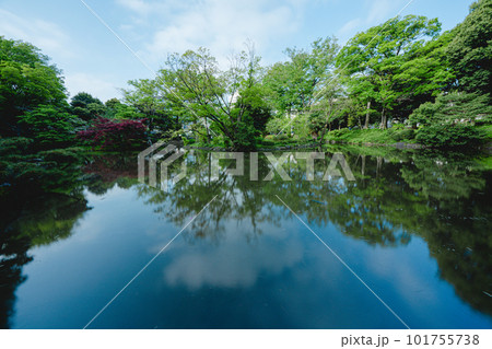 東京の公園の池と空 東京の公園の池と空 101755738