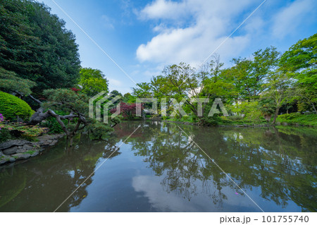 東京の公園の池と空 東京の公園の池と空 101755740